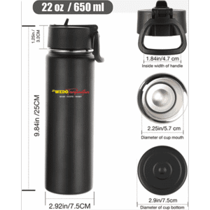 Insulated Double Wall, Water Bottle with, 22 oz Stainless Steel